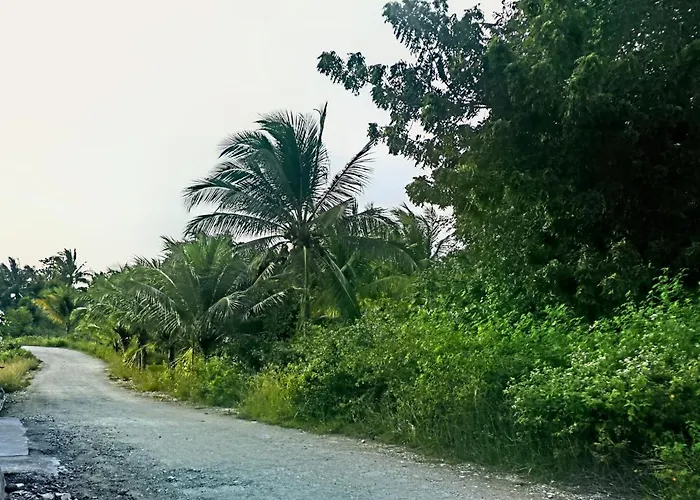 Jasmin's Moalboal